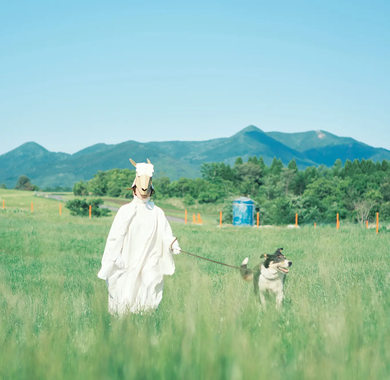 犬とすごすのメインビジュアル2