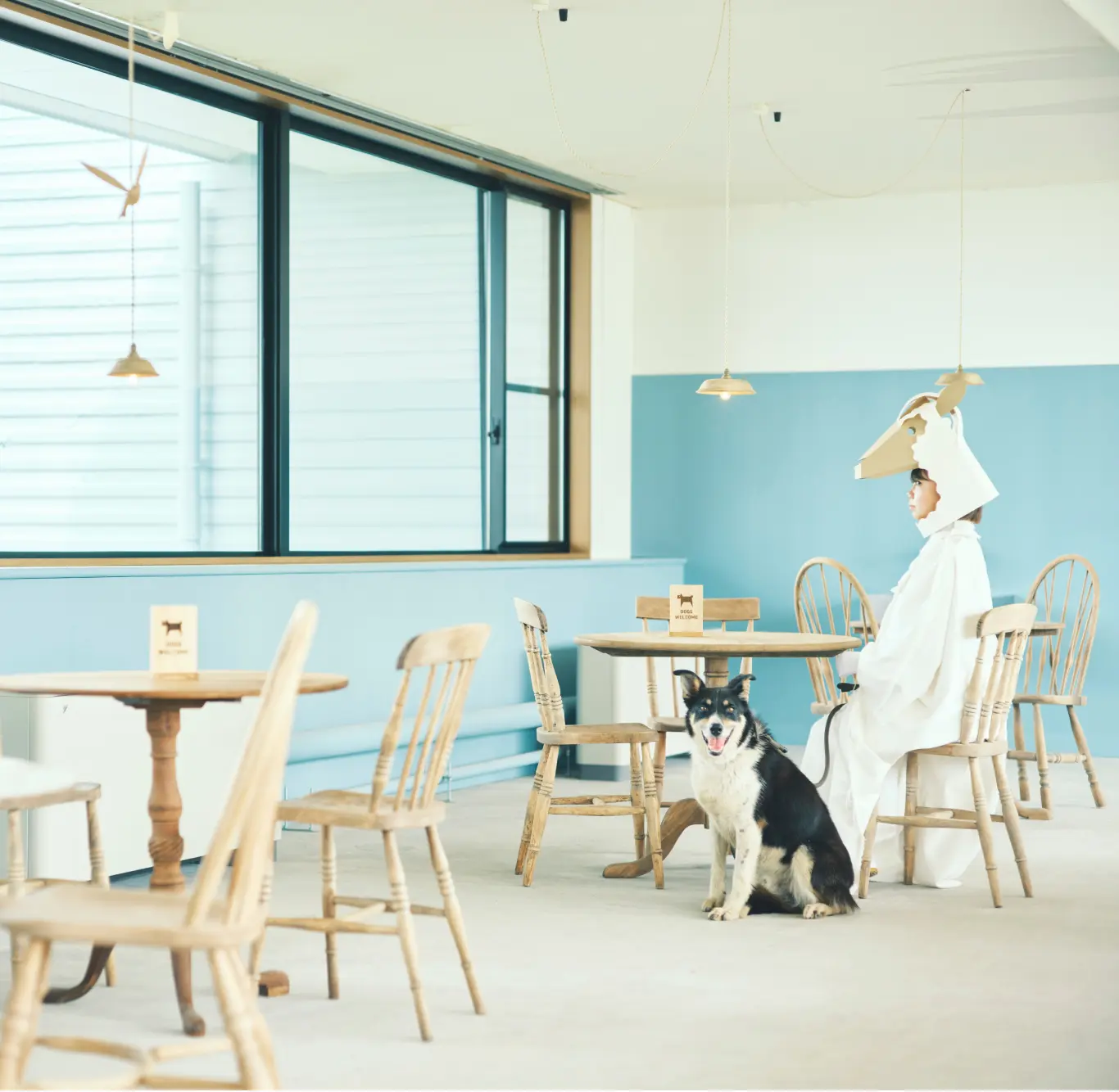 犬とすごすのメインビジュアル3