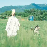 犬同伴エリア