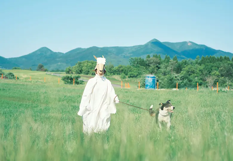 犬同伴エリアの写真