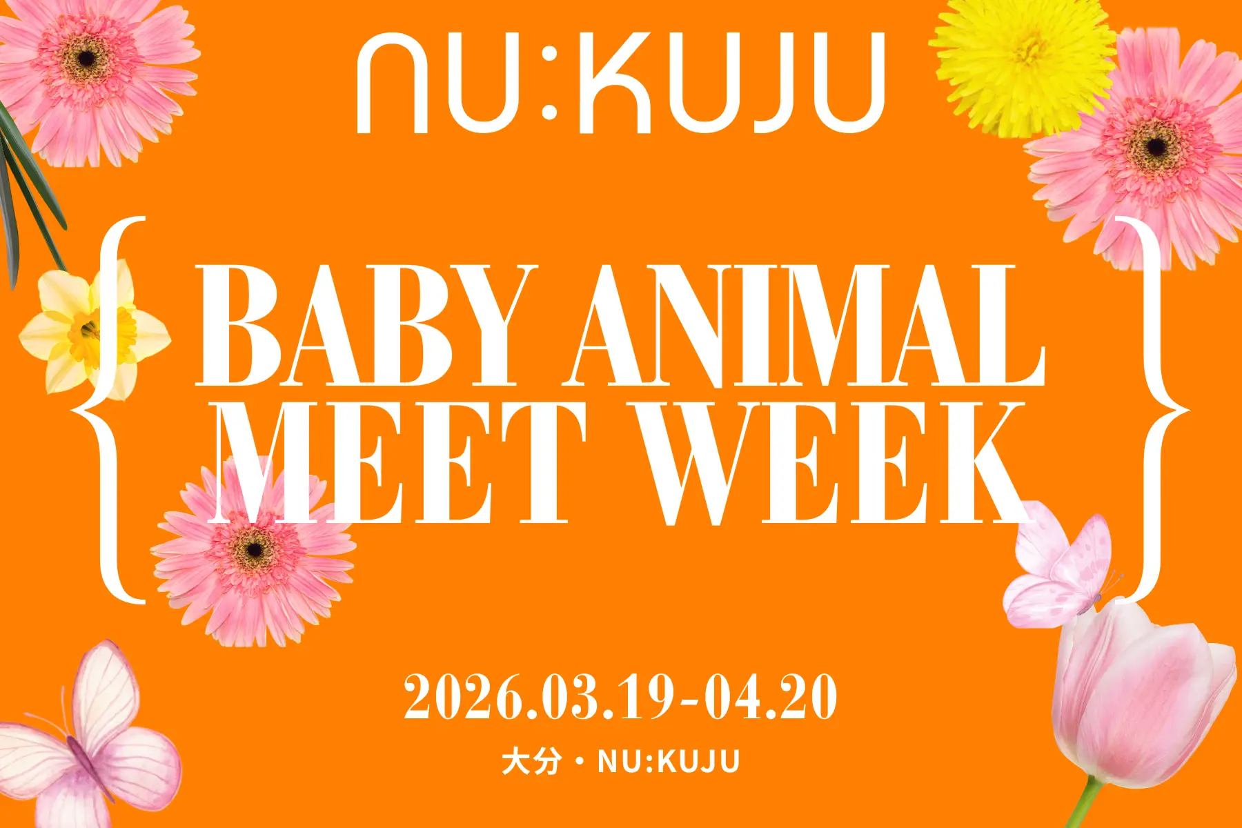 ※終了※子ひつじ・子ヤギのふれあい🐑